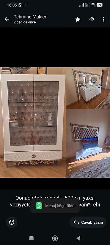 Qonaq otağı mebeli. 600azn yaxsı veziyyetde ünvan qış parkının — 1