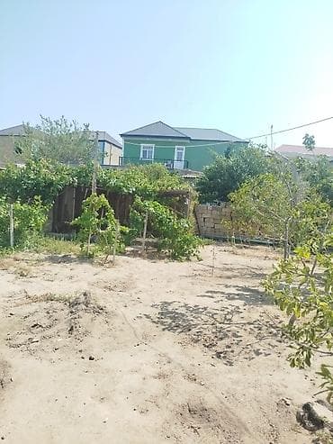 2 sot, Tikinti, Mülkiyyətçi, Kupça (Çıxarış)