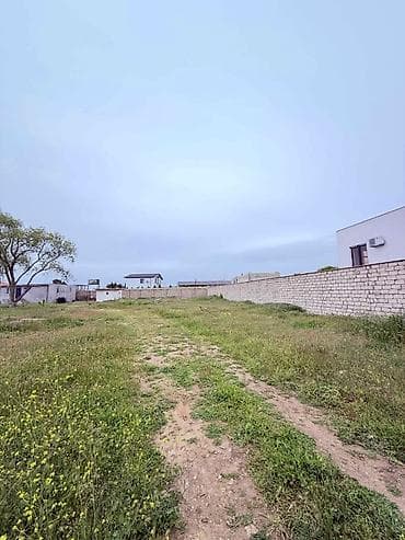 12 sot, Tikinti, Kupça (Çıxarış) — 4
