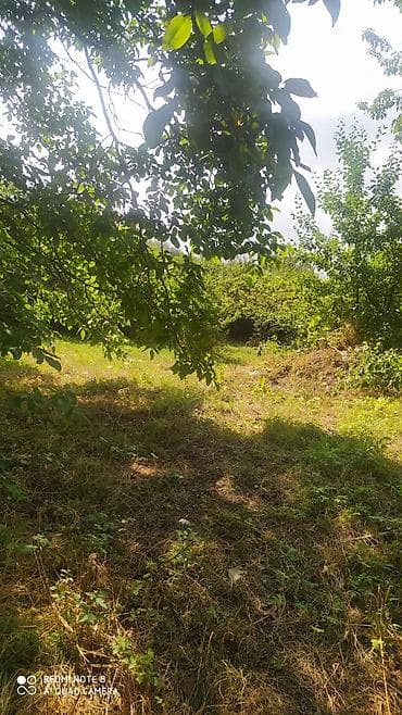 ev satlir: Gəncə, 4 kv. m, 1 otaqlı, Hovuzsuz, Su — 5
