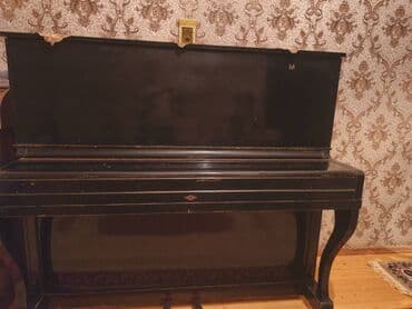 Akkordeonlar: Piano, Belarus, Akustik — 3