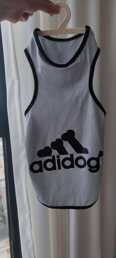 переноска для кошек баку: It geymi.yenidir.25 azne almiwam.eynine olmadi — 4