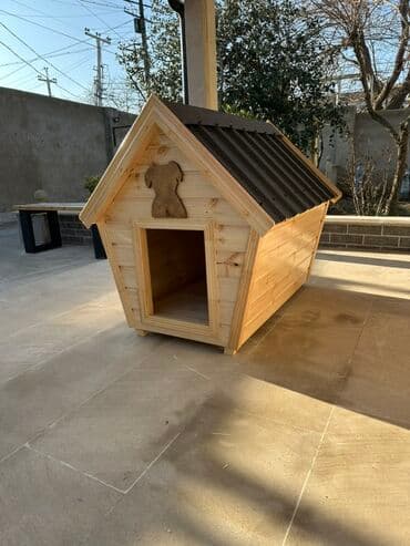 it üçün zəncir: Obşıvka taxtadan yığılma yuvadı.Pol hissəsi polluq taxtadan.İç — 1