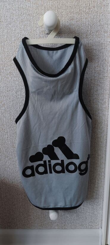 переноска для кошек баку: It geymi.yenidir.25 azne almiwam.eynine olmadi — 2