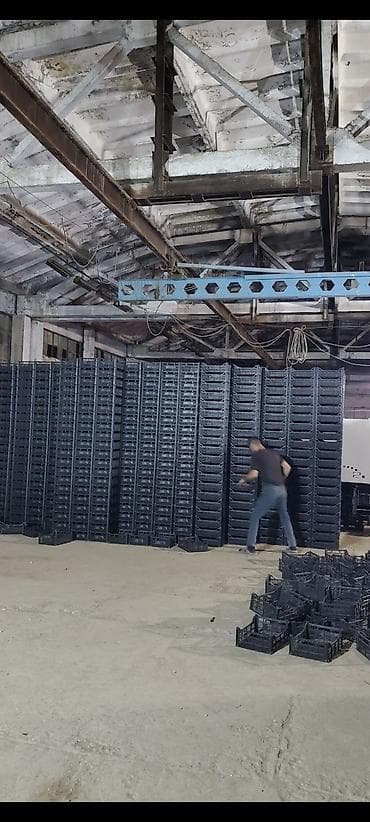 kontener ev: Plastik sənaye yeşikləri – istehsaldan - Material: möhkəm, yüngül — 10
