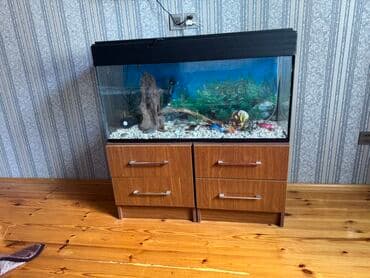 купить аквариум: Прямоугольный аквариум, Пустой, 150 л, Самовывоз — 1