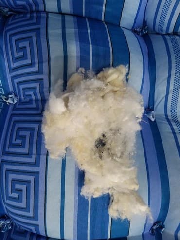 dəvə yunu: Yun döşəklər — 1