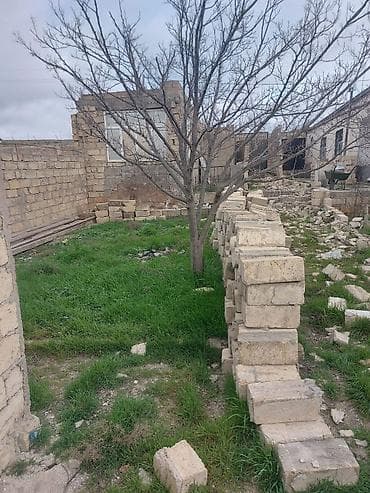 torpag sahesi: Tikinti — 1