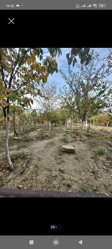 qusarda satilan evler: 2 sot, Tikinti, Mülkiyyətçi, Kupça (Çıxarış) — 4