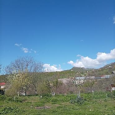 4 otaqli heyet evleri: Kənd təsərrüfatı — 3
