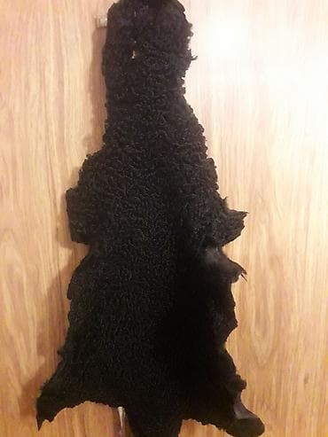 Digər baş geyimləri: Buxara papaqlıq quzu dərisi təmiz dəri — 2