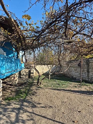 samux rayonu: 14 sot torpaq sahesinin içinde yaşayışlı ev köhnə tikili 2yataq otaq 1 — 5