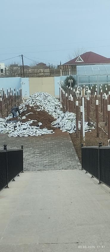 Anbar: Fəhlə lazımdı 2 nəfər iş novxanıdadı iş vaxtı 08:30 dan axşam 06:00 — 1