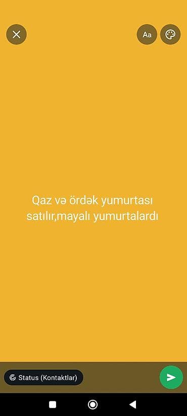 гусь: Qaz və ördək yumurtası – mayalı (inkubasiya üçün) - Növ: Qaz — 1