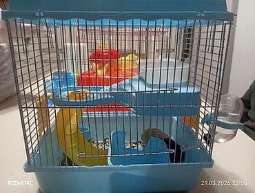 Qəfəslər: Mavi rəngli quş və xomyak üçün qəfəs ölçü:uzunluğu 26smhündürlük — 3