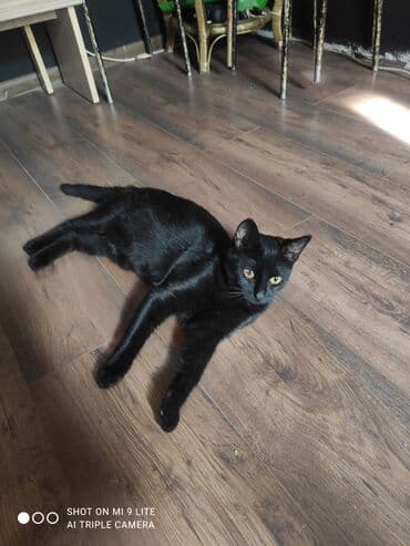 ağdaş yem fabriki: Yaxşı əllərə — 7