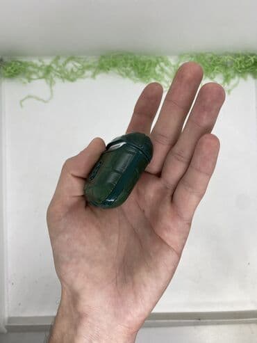 чехлы на аирподс 2: Airpods 2 Case Qiymət 15yox❌ 10Azn✅ Mağaza: Məmar Əcəmi Çatdırılma — 8