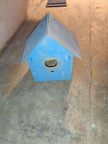 Quşlar üçün aksesuar dəsti - Taxta quş evi: üçbucaq damlı, ön hissədə lalafo.az -da Quşlar üçün aksesuar dəsti - Taxta quş evi: üçbucaq damlı, ön hissədə