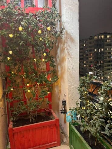 ev elani: 3 otaqlı, Yeni tikili, m. Xətai, 113 kv. m — 13