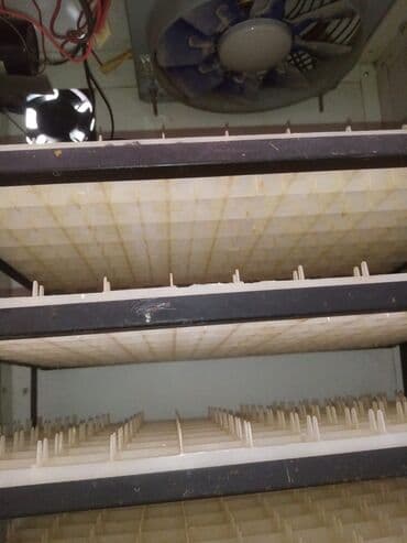 Soyuducu avadanlığı: Generator hediyye verilir!!!Toyuq ucun yalniz 528 yumurta real alici — 5