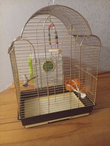 amadin quşu: Quş qəfəsi və aksesuarlar. Qefes satılır yeni kimidiraz istifade — 4