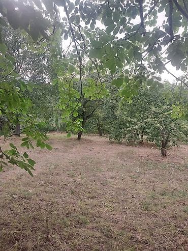 emircanda satilan evler: 25 sot — 8