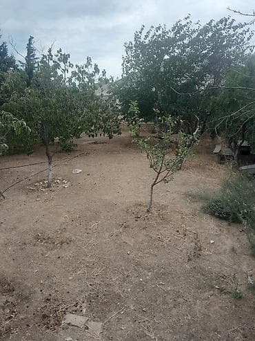 ecemide kiraye evler 2023: Həyətyanı ev – həyət və iç sahələr - Üstü örtülü eyvanlı, darvazalı — 10