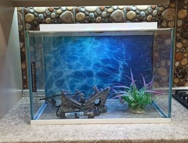 Dördbucaq akvarium, Boş, 70 l