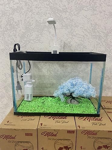 akvarium sumqayit: Akvaryum seti. Yenidir, işlənməyib. 1) 14 Litir akvarium 2) — 2