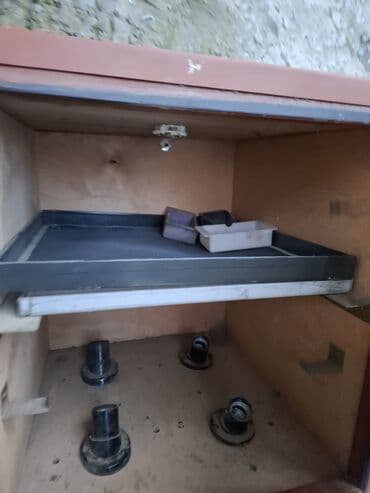 Pişiklər: Inqbator — 2