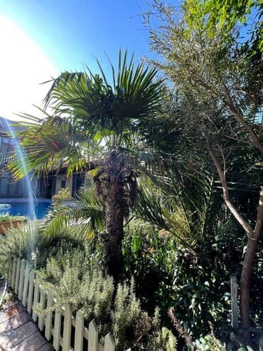 baki hovuzlu evler: Şüvəlan qəs. 6 otaqlı, 300 kv. m, Kredit yoxdur, Yeni təmirli — 25