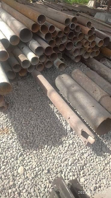 zvonok it satisi: 1 ay, Erkek, Ünvandan götürmə — 4