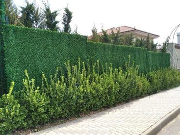 qazon picen: Yaşıl dekorati hasar,Yaşıl Setka,Çim Çit,Setka Qazon,Tor Setka — 4