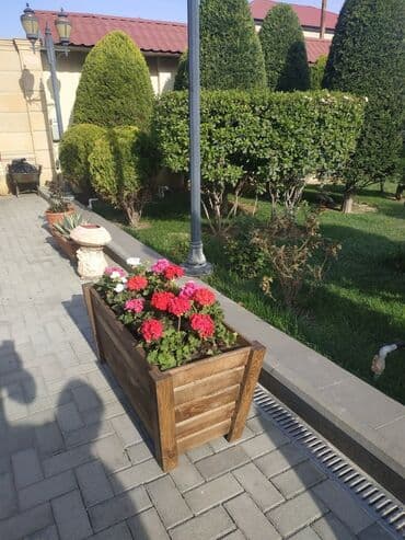 dibcək qablarının satışı: Dibçək güldanlar. Dipçəklər bir başa sexdən.Sex qiymətinə. ♦️Endrim — 2