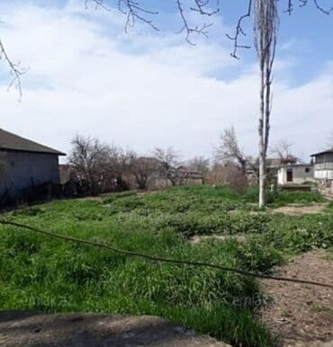 9 sot, Tikinti, Mülkiyyətçi, Kupça (Çıxarış)