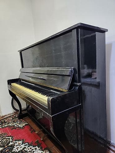 futbol forması: Piano, Belarus, Akustik, İşlənmiş, Ünvandan götürmə — 3