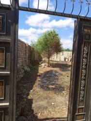 əmircan evlər: Tikinti, Mülkiyyətçi, Müqavilə — 4