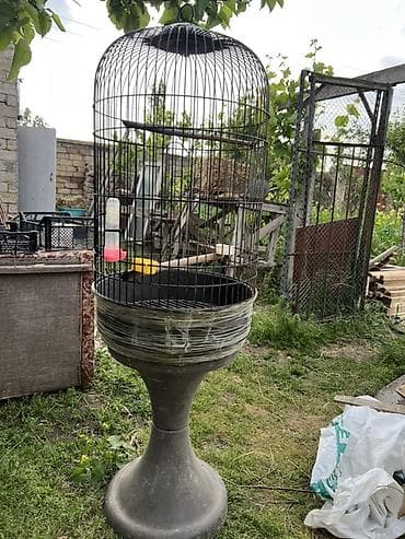 Gördüyünüz kimi yeke qəfəsdir hündürlük uzunluq hamısı şəkildə var at lalafo.az Gördüyünüz kimi yeke qəfəsdir hündürlük uzunluq hamısı şəkildə var