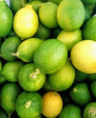 Super limon gəldi 🍋 Bir ədədi 0.20 qəpik. Bir yeşikdə 120 ədəd 140
