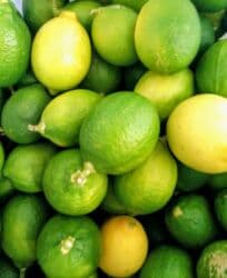 pandora qizil qolbaqlar qiymeti: Super limon gəldi 🍋 Çatdırılma minimum 50 dənə. Bir yeşikdə 120 ədəd — 1