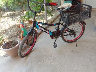 познание мира 2 класс мсо 8: Детские велосипеды — 4