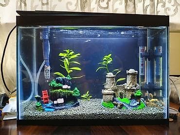 Dördbucaq akvarium, Boş, 14 l, Ödənişli çatdırılma
