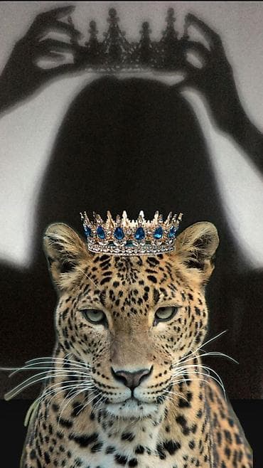 Bədənə qulluq: Hommye Queen For Women – Royal Essence, Eau de Parfum, 50 ml — 3