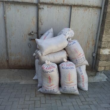 dibcək gulləri ev gulleri ve adlari: Toz halinda mal peyini - kisesi 2,60 q. ( boyuk kepek kisesinde) — 6