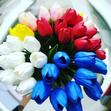 Selekon tülpanlar
Türkiye istehsalı
Ededle satılır