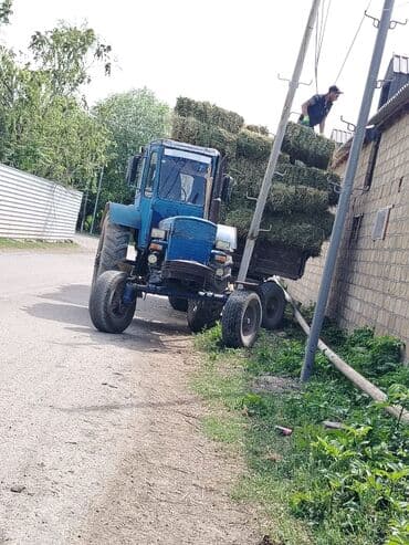 maz yuk masini: Mavi rəngli tək kabinəli təkərli kənd təsərrüfatı traktoru - Güclü — 2