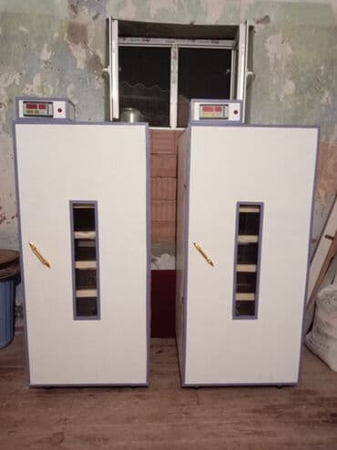 etlik cuce: 1000 yumurtalıq inkubator zakasla yigilir çıxış faizi 85-90 fayizi — 1