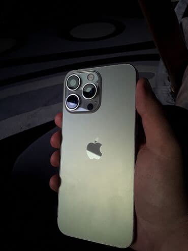 айфон 11 pro max бу: IPhone 15 Pro Max, 256 GB, Gümüşü, Face ID — 1