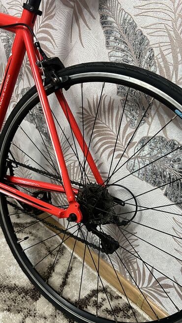 velosiped 50 azn: Yol velosipedi – Format Convex seriyası Şose velosiped Wose — 3