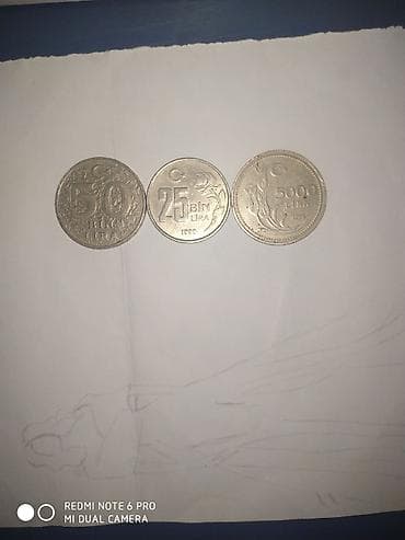 İdman və hobbi: 1999 il, Vəziyyəti: Yaxşı — 2